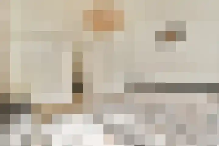 Dragontuin 9 Leiderdorp thumbnail 20