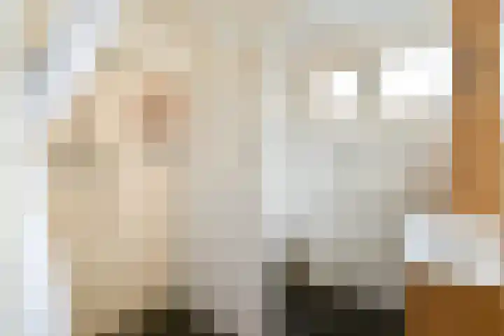 Dragontuin 9 Leiderdorp thumbnail 21