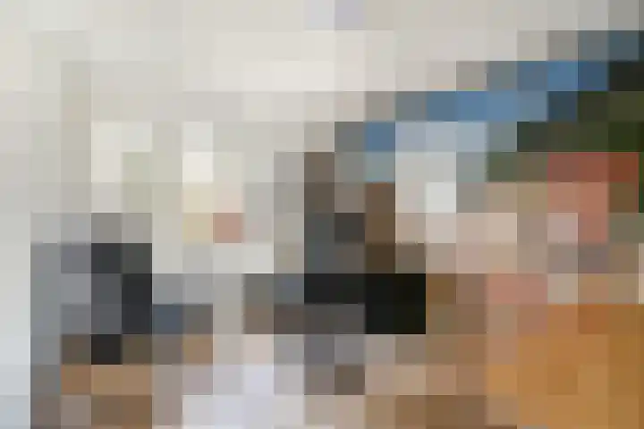 Dragontuin 9 Leiderdorp thumbnail 23