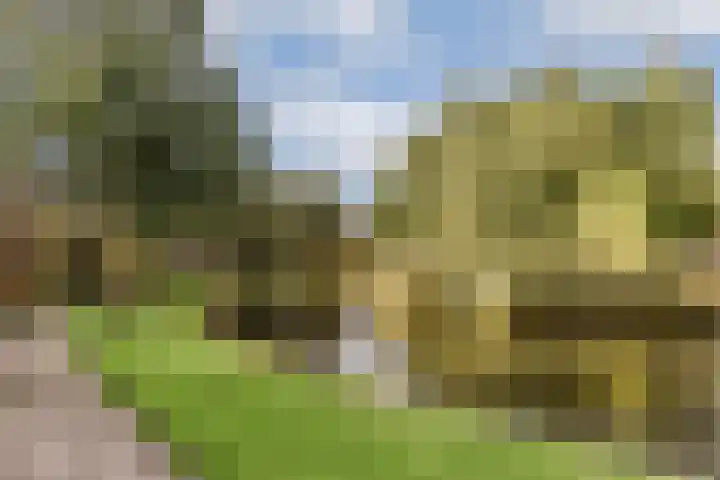 Dragontuin 9 Leiderdorp thumbnail 28