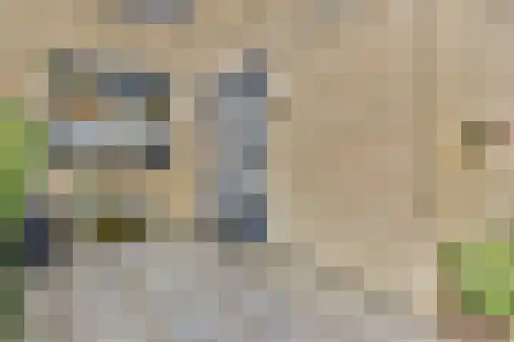 Dragontuin 9 Leiderdorp foto 3