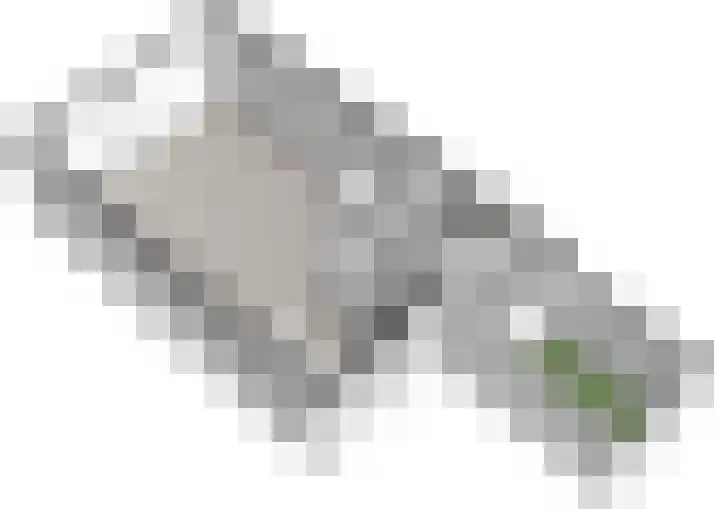 Dragontuin 9 Leiderdorp thumbnail 31