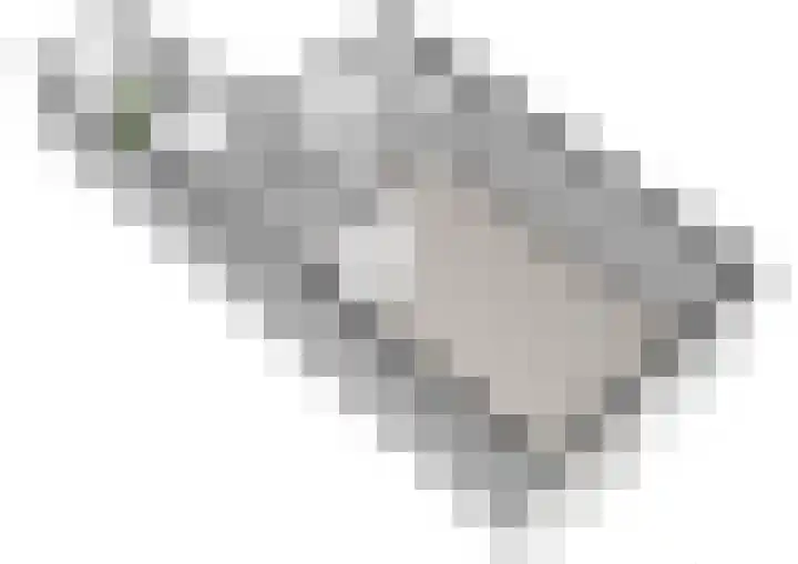Dragontuin 9 Leiderdorp thumbnail 32