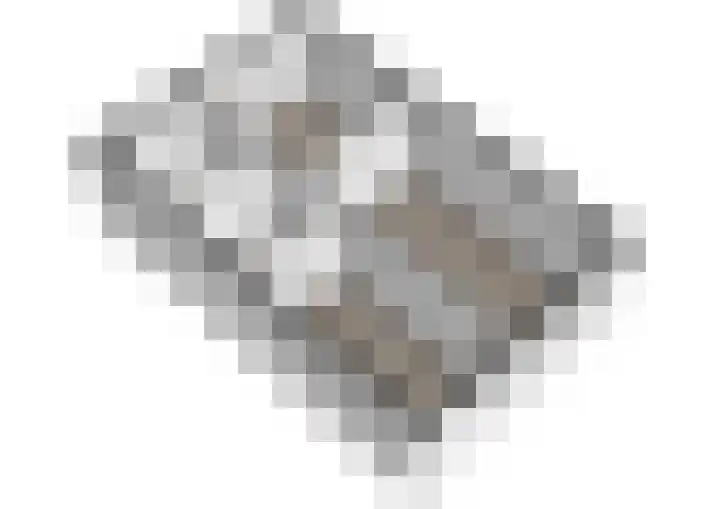 Dragontuin 9 Leiderdorp thumbnail 34