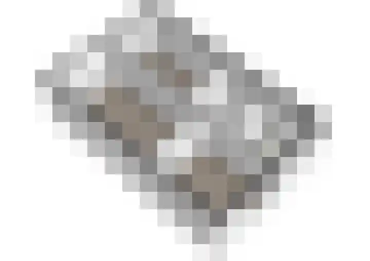 Dragontuin 9 Leiderdorp thumbnail 35
