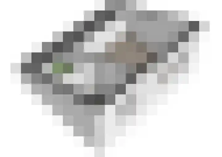 Dragontuin 9 Leiderdorp thumbnail 37