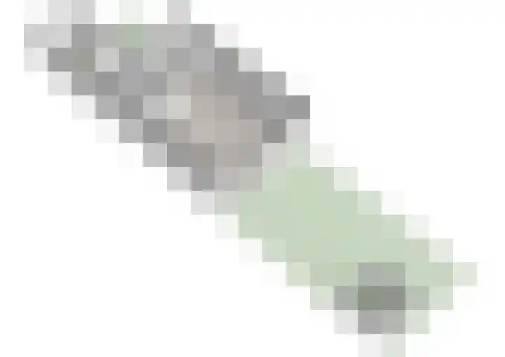 Dragontuin 9 Leiderdorp thumbnail 40