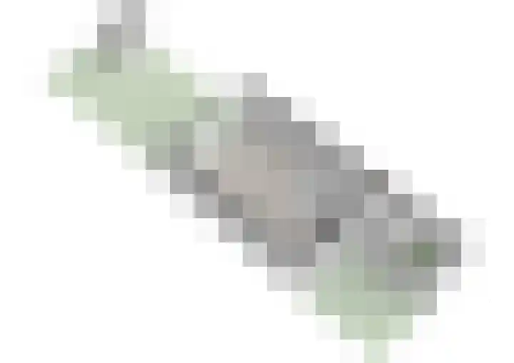 Dragontuin 9 Leiderdorp thumbnail 41