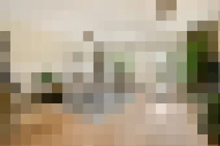 Dragontuin 9 Leiderdorp thumbnail 6