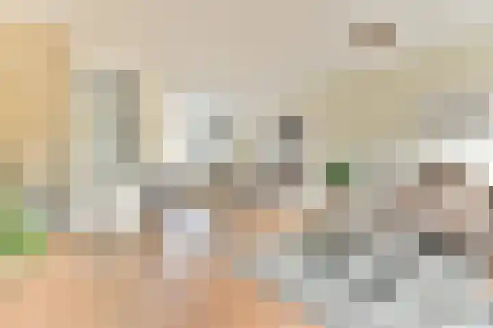 Dragontuin 9 Leiderdorp thumbnail 7