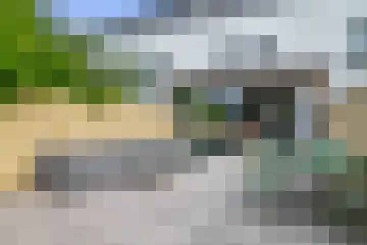 Drakenstein 34 Landsmeer thumbnail 22