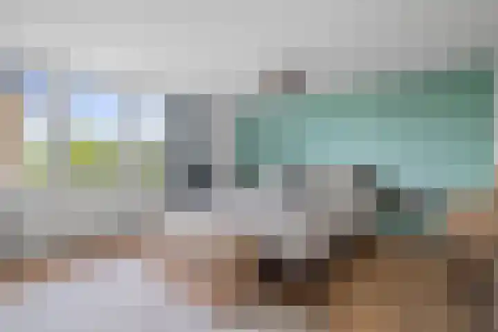 Drakenstein 34 Landsmeer thumbnail 34
