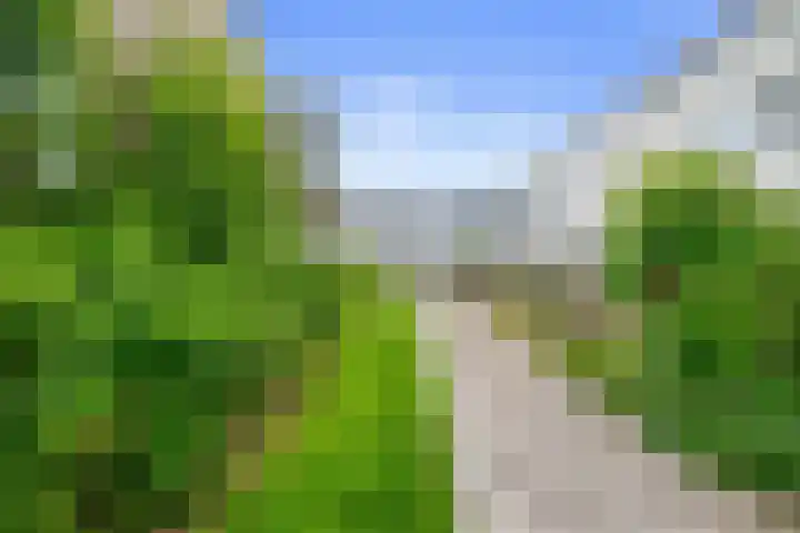 Drakenstein 34 Landsmeer thumbnail 44