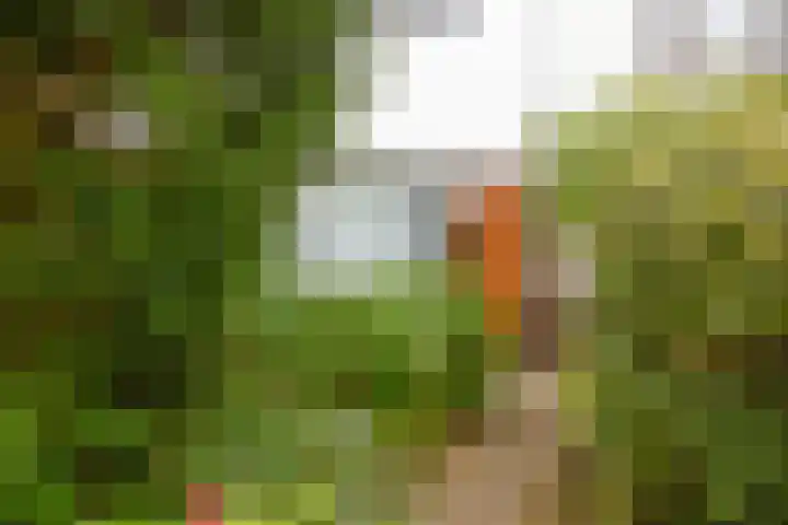 Drakenstein 7 Landsmeer thumbnail 11