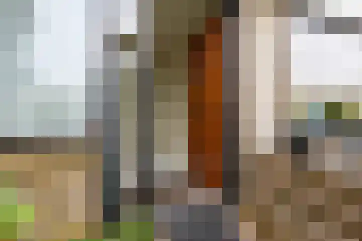 Drakenstein 7 Landsmeer thumbnail 12