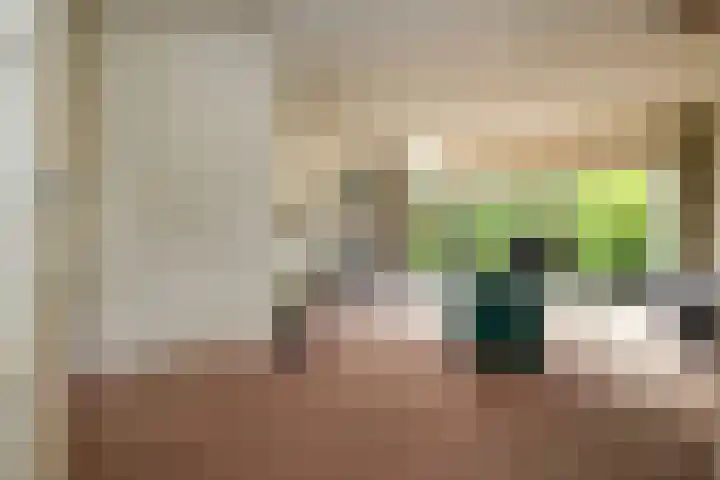 Drakenstein 7 Landsmeer thumbnail 17