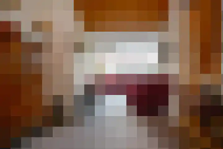 Drakenstein 7 Landsmeer thumbnail 42