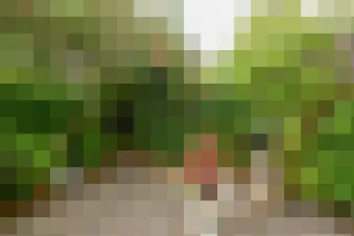Drakenstein 7 Landsmeer thumbnail 54