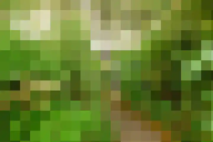 Drakenstein 7 Landsmeer thumbnail 55