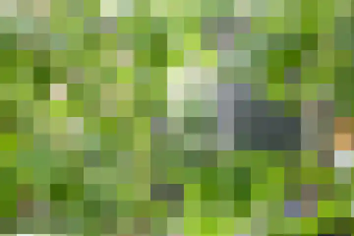 Drakenstein 7 Landsmeer thumbnail 56