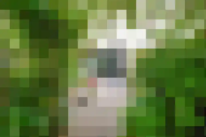 Drakenstein 7 Landsmeer thumbnail 57