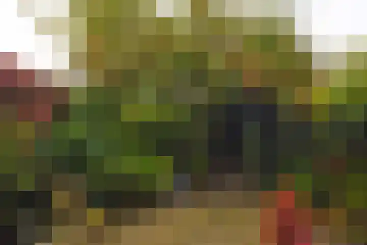 Drakenstein 7 Landsmeer thumbnail 58
