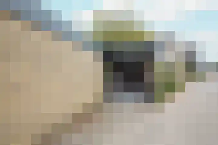 Drakenstein 7 Landsmeer thumbnail 60