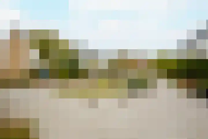 Drakenstein 7 Landsmeer thumbnail 7