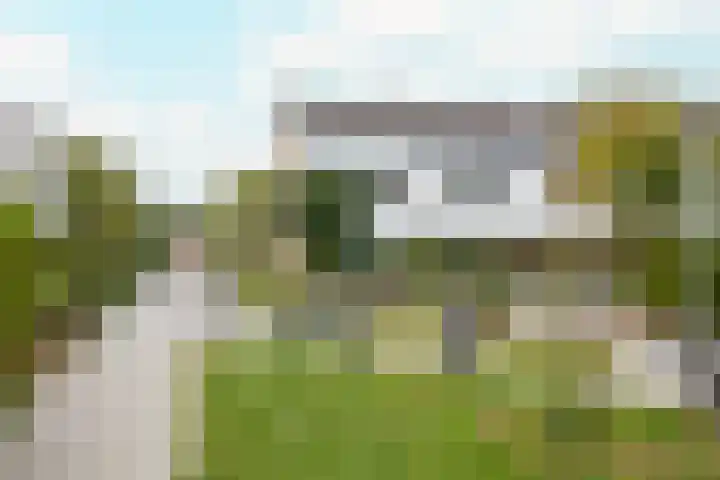 Drakenstein 7 Landsmeer thumbnail 9