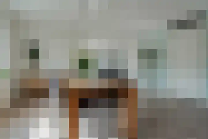 Drapeniersgilde 1 Hasselt thumbnail 16