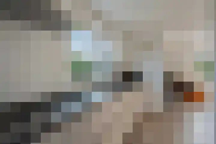 Drapeniersgilde 1 Hasselt thumbnail 20