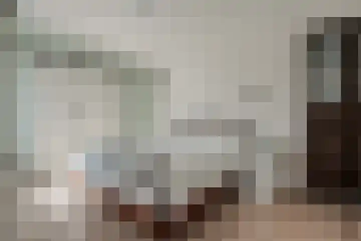 Drapeniersgilde 1 Hasselt thumbnail 25