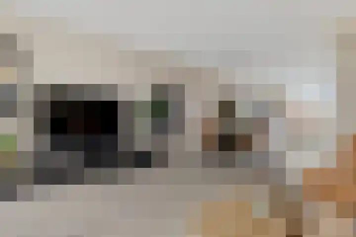 Drapeniersgilde 27 Hasselt thumbnail 14