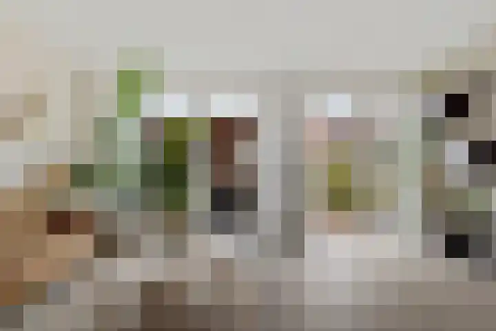 Drapeniersgilde 27 Hasselt thumbnail 15