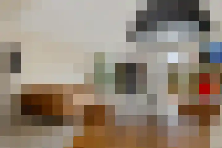 Drapeniersgilde 27 Hasselt thumbnail 17