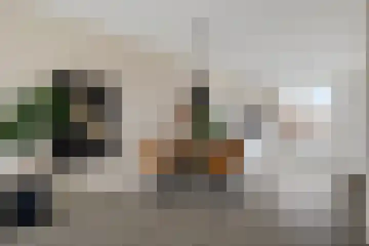 Drapeniersgilde 27 Hasselt thumbnail 18