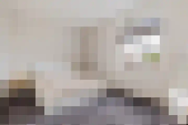 Drapeniersgilde 27 Hasselt thumbnail 31