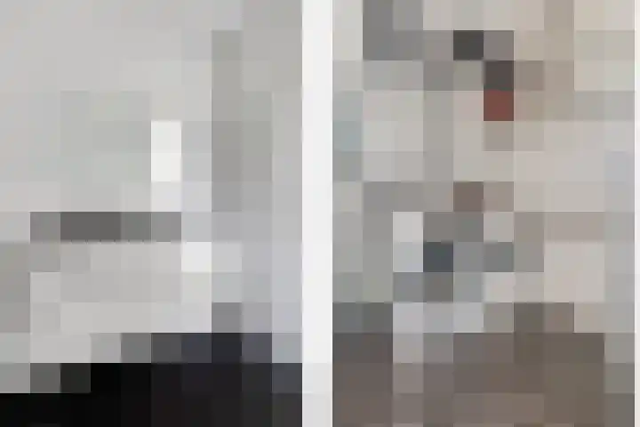 Drapeniersgilde 27 Hasselt thumbnail 36