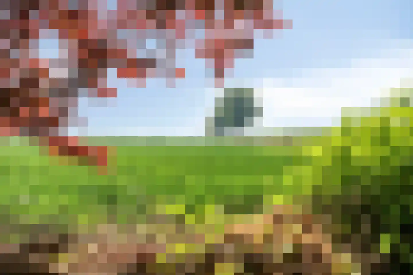 Draversdyk 2 in Rien