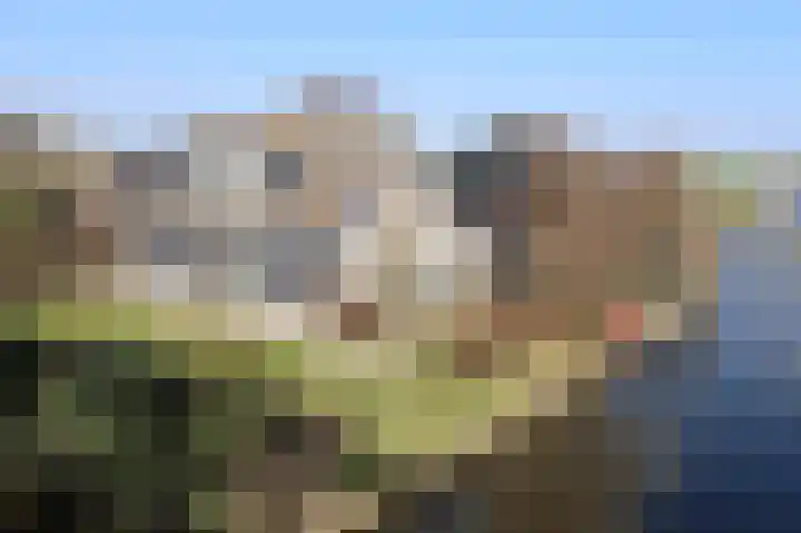 Draversdyk 2 Rien