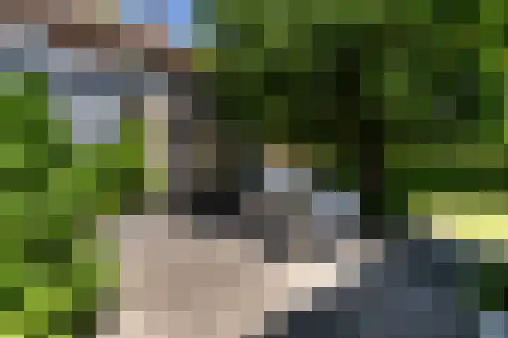 Draversdyk 9 Rien thumbnail 10