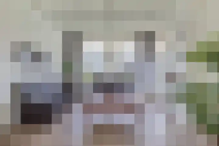 Draversdyk 9 Rien thumbnail 10