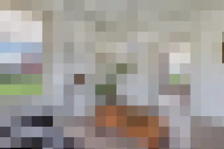 Draversdyk 9 Rien thumbnail 12