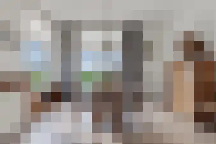 Draversdyk 9 Rien thumbnail 13
