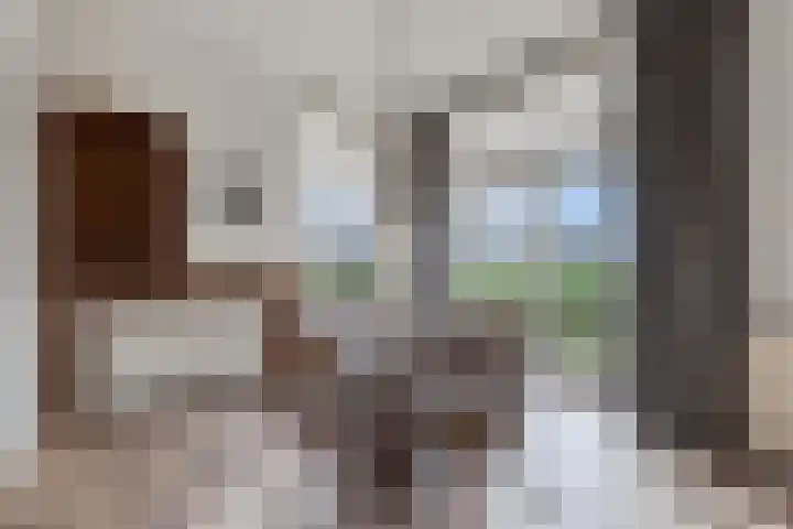 Draversdyk 9 Rien thumbnail 14