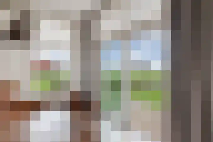 Draversdyk 9 Rien thumbnail 15