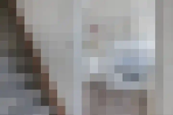 Draversdyk 9 Rien thumbnail 18