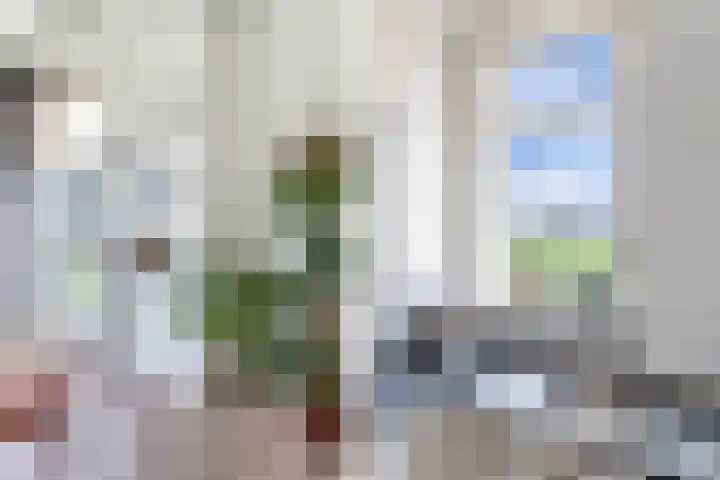 Draversdyk 9 Rien thumbnail 22