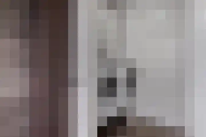 Draversdyk 9 Rien thumbnail 25