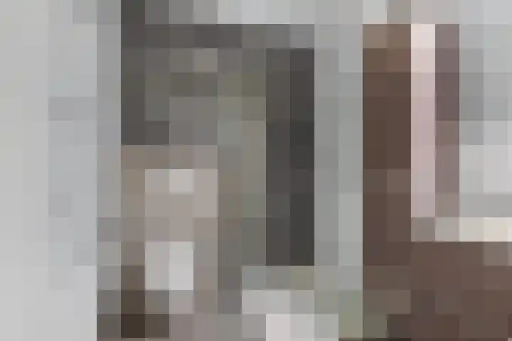 Draversdyk 9 Rien thumbnail 26